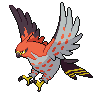 Talonflame.png